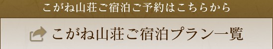 お電話でのご予約・お問い合わせ0979-26-8066