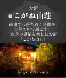 金色温泉の自然美に酔いしれながら